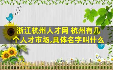 浙江杭州人才网 杭州有几个人才市场,具体名字叫什么